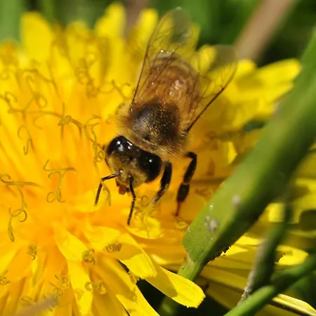 Historische Spremberg